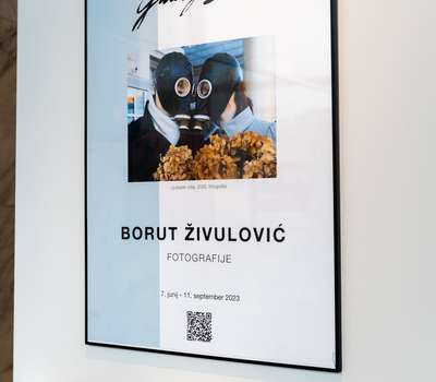 Borut Živulović - Fotografije